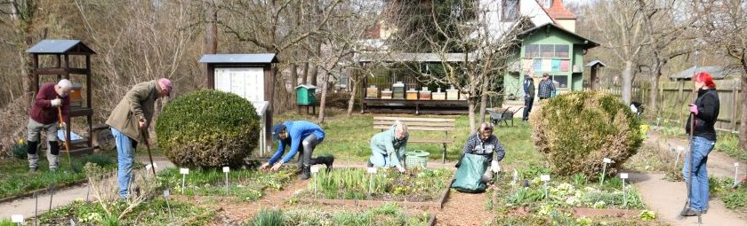 Du betrachtest gerade Frühjahrsputz 2026 im Deutschen Bienenmuseum Weimar